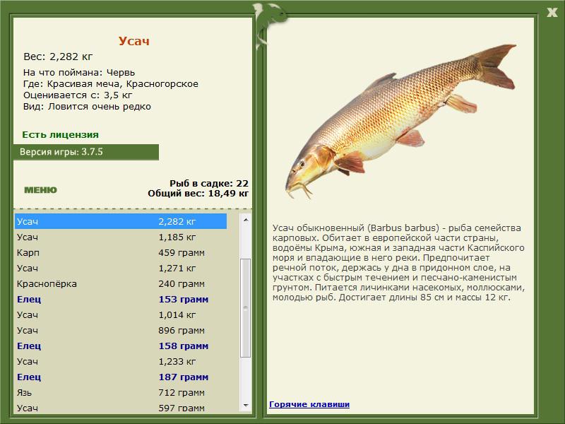 Красногорское 