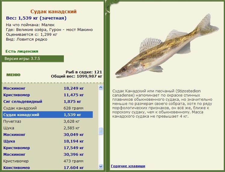 турниры • РУССКАЯ РЫБАЛКА