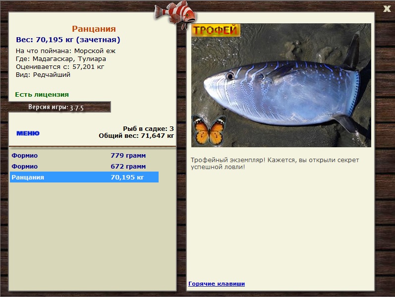 Морской ёж 