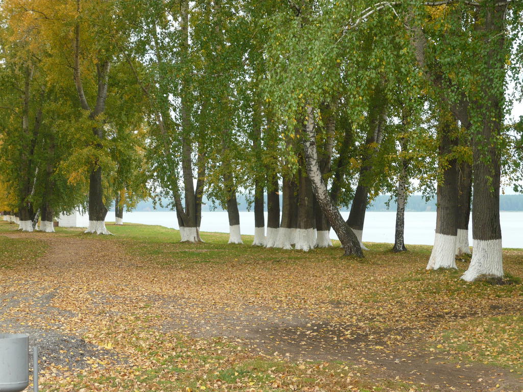  Осенние пейзажи