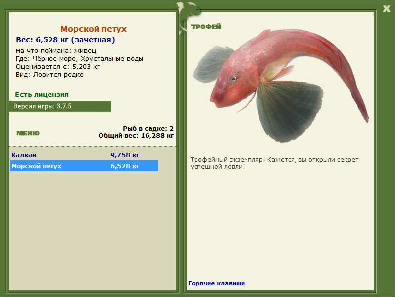 Морской петух 