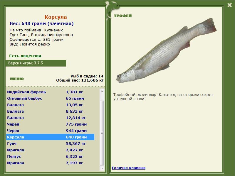 Корсула 