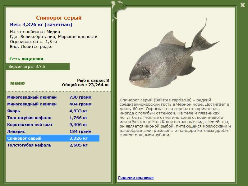 Великобритания 