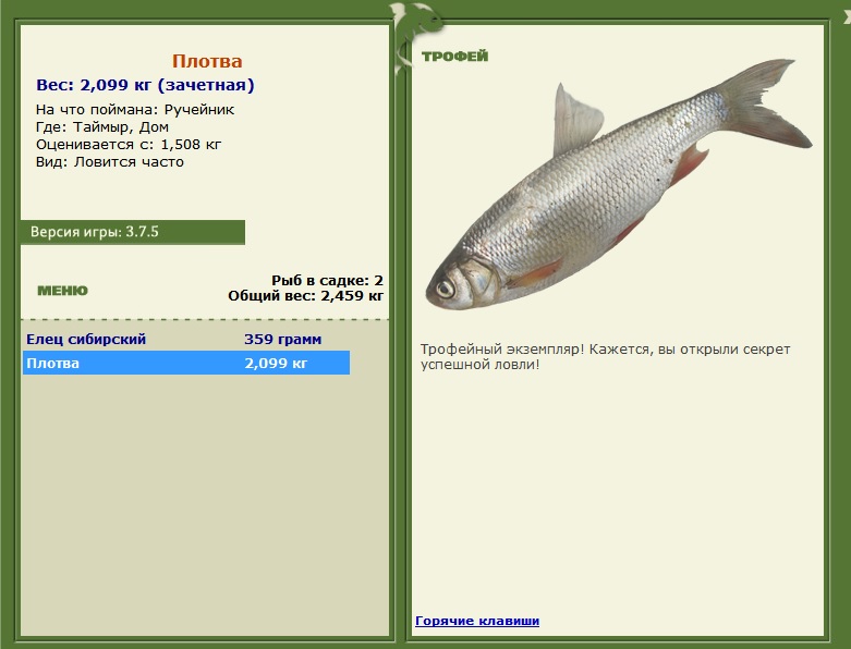Дом 