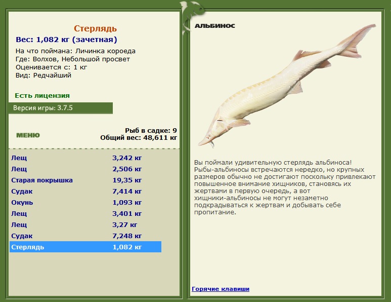 Небольшой просвет 