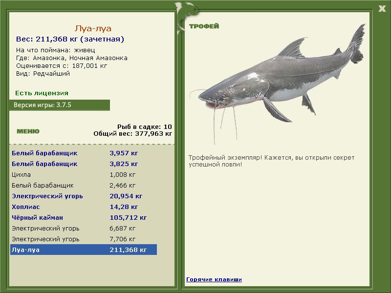луа • Рыбы • РУССКАЯ РЫБАЛКА
