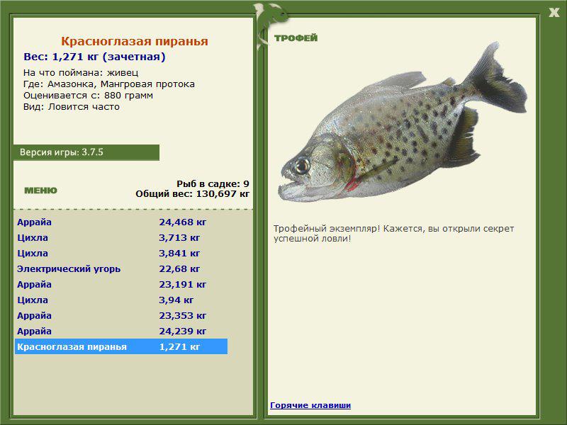 Красноглазая пиранья 