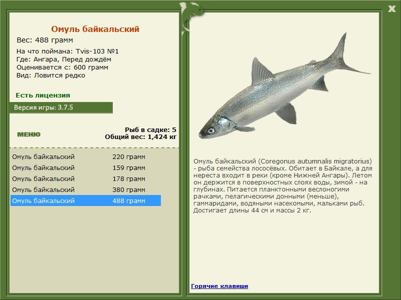 РУССКАЯ РЫБАЛКА Installsoft Edition 