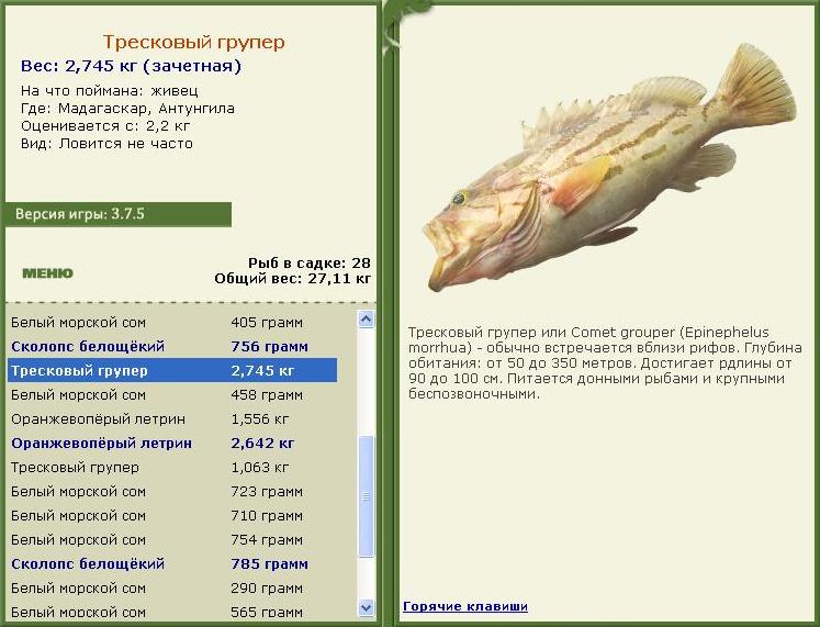 турниры • РУССКАЯ РЫБАЛКА