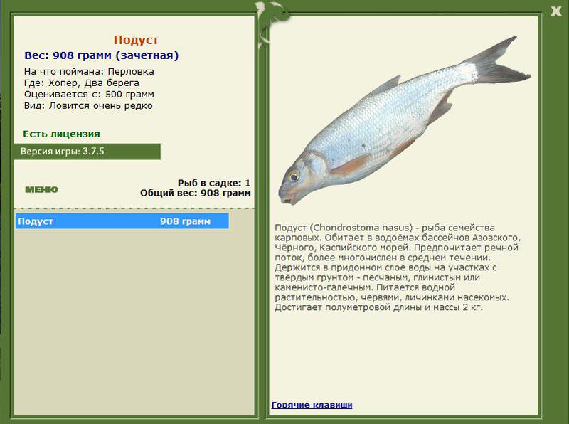 РУССКАЯ РЫБАЛКА Installsoft Edition 