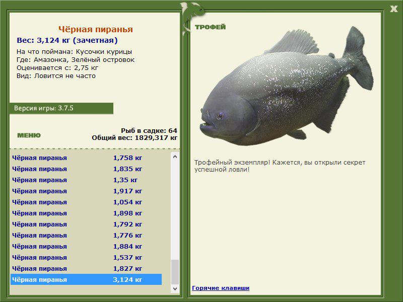 Чёрная пиранья 