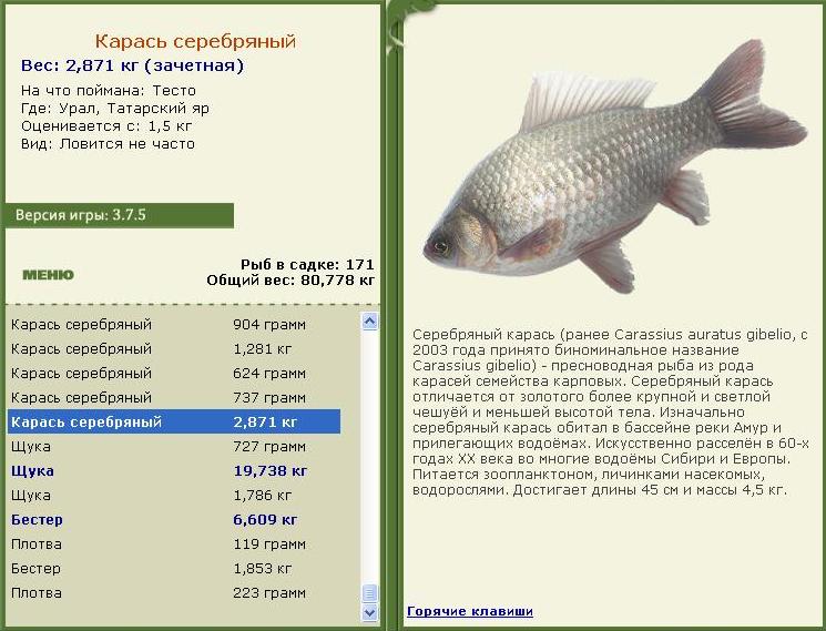 турниры • РУССКАЯ РЫБАЛКА