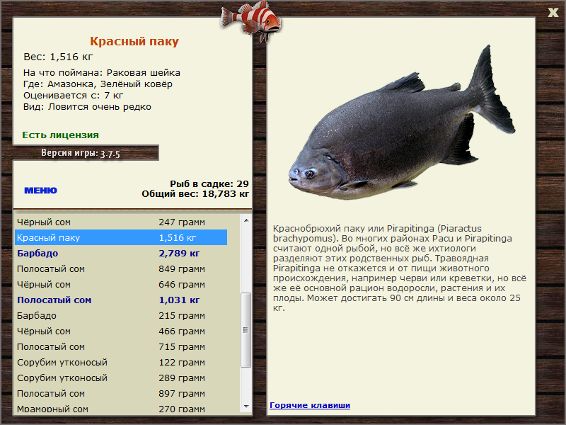 Зелёный ковёр 