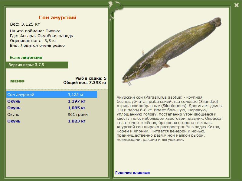 РУССКАЯ РЫБАЛКА Installsoft Edition 