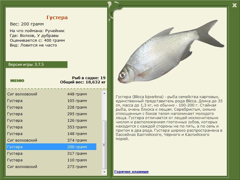 турниры • РУССКАЯ РЫБАЛКА