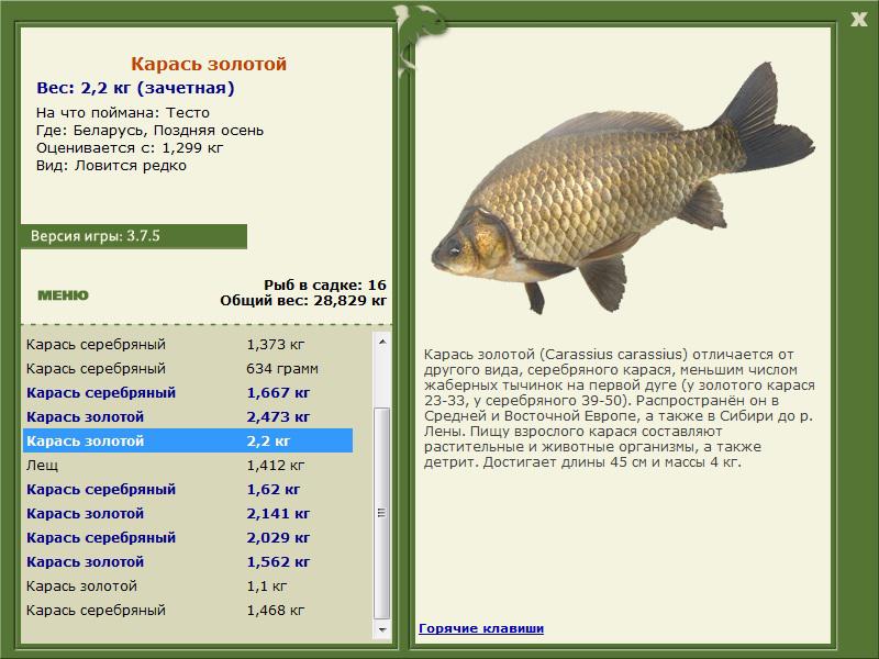 РУССКАЯ РЫБАЛКА Installsoft Edition 