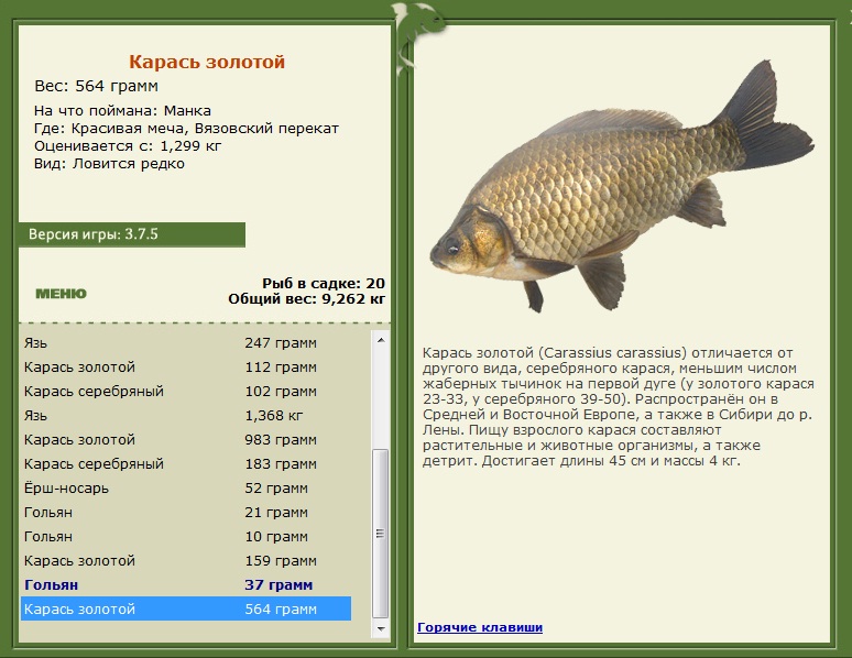 Вязовский перекат 