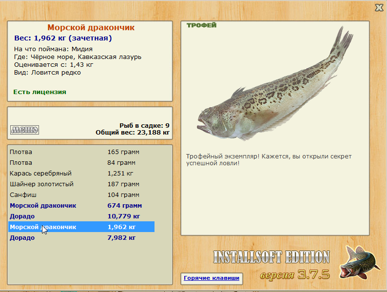 Морской дракончик 