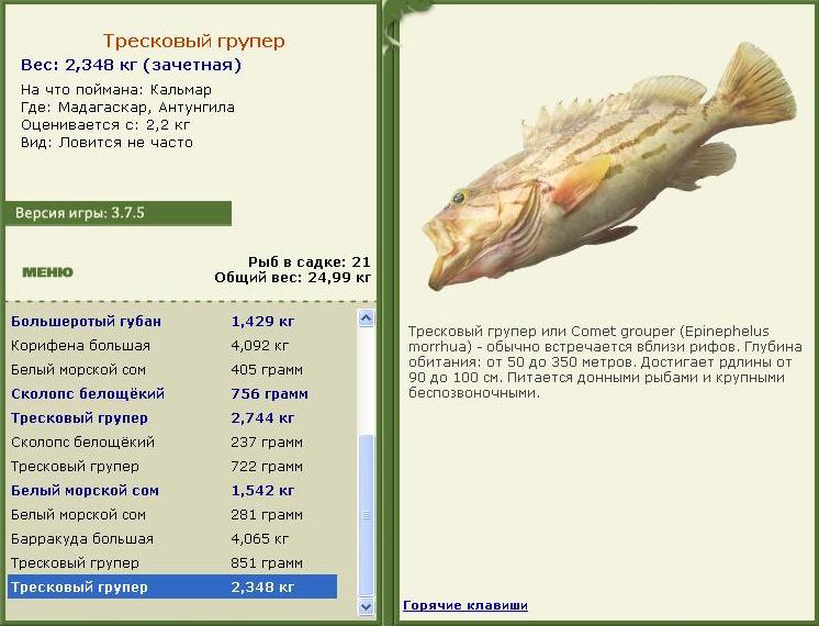 турниры • РУССКАЯ РЫБАЛКА