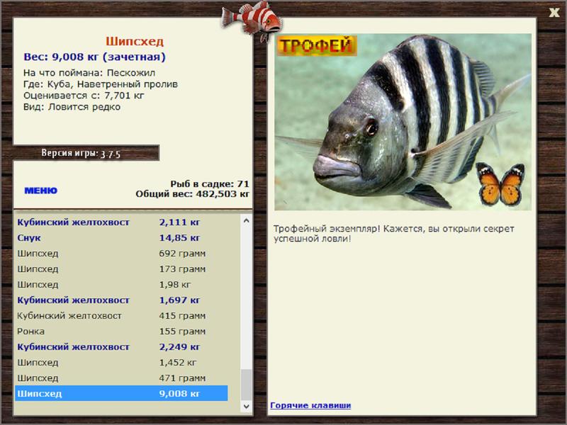 Шипcхед 