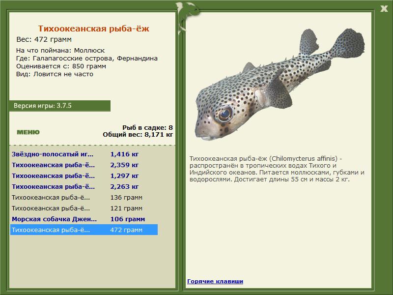 Фернандина 