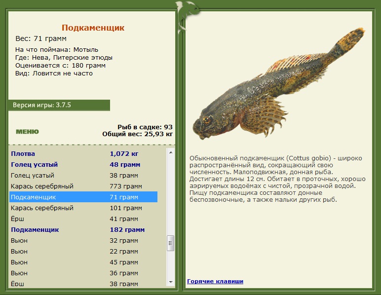 турниры • РУССКАЯ РЫБАЛКА