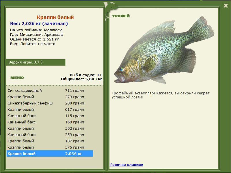 Краппи белый 