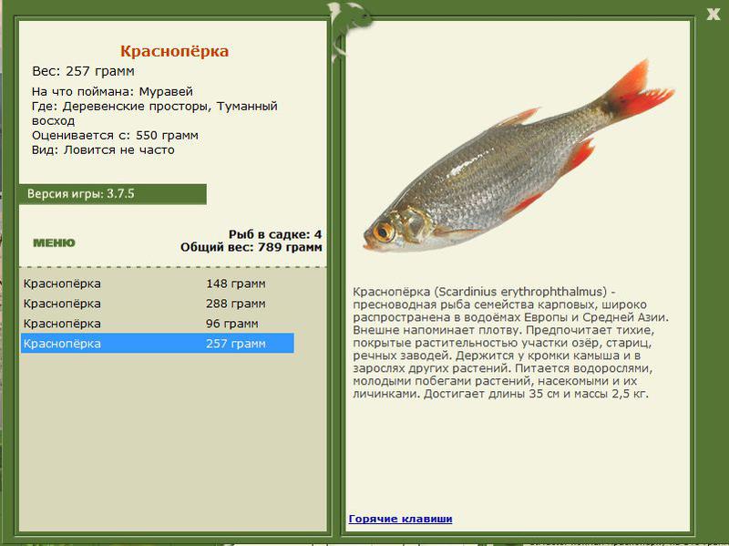 РУССКАЯ РЫБАЛКА Installsoft Edition 