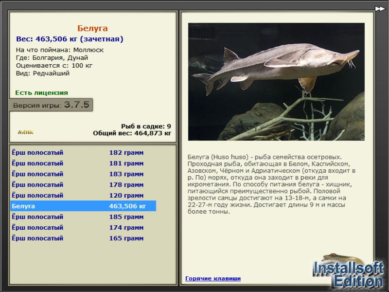  Максимальный Вес • Praise-турниры • РУССКАЯ РЫБАЛКА