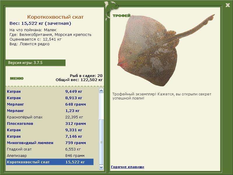 Короткохвостый скат 