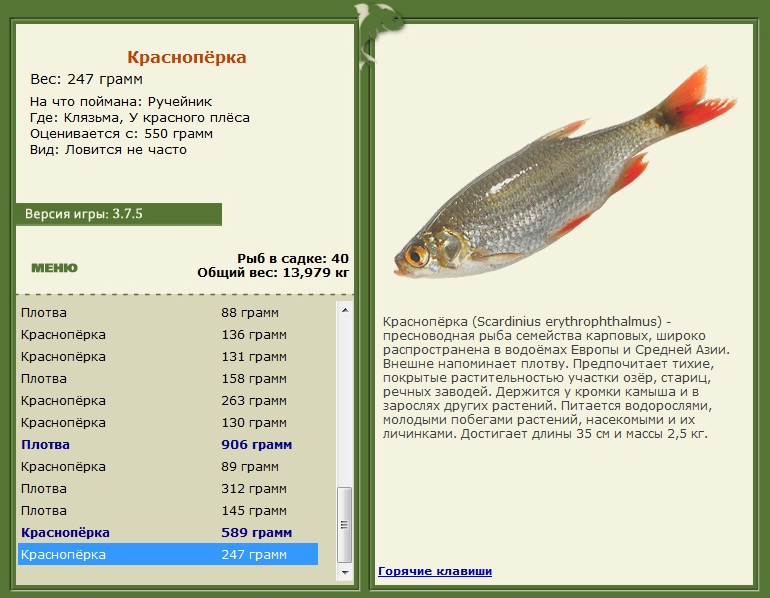 У красного плёса 