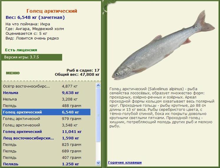 турниры • РУССКАЯ РЫБАЛКА