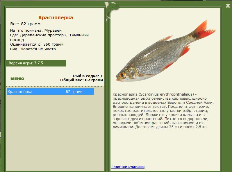 РУССКАЯ РЫБАЛКА Installsoft Edition 