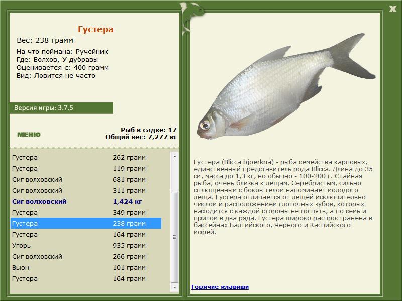 турниры • РУССКАЯ РЫБАЛКА