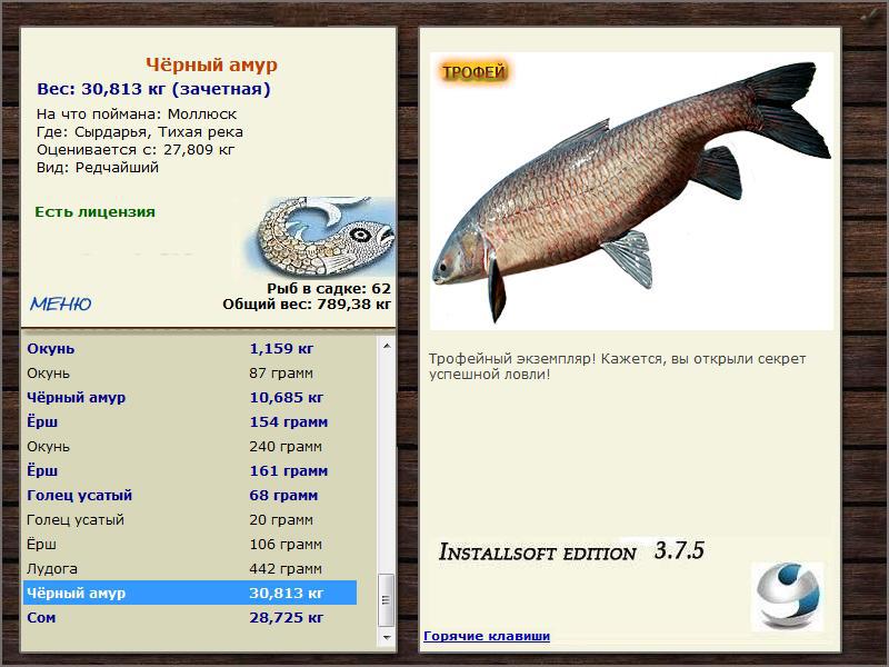 Тихая река 
