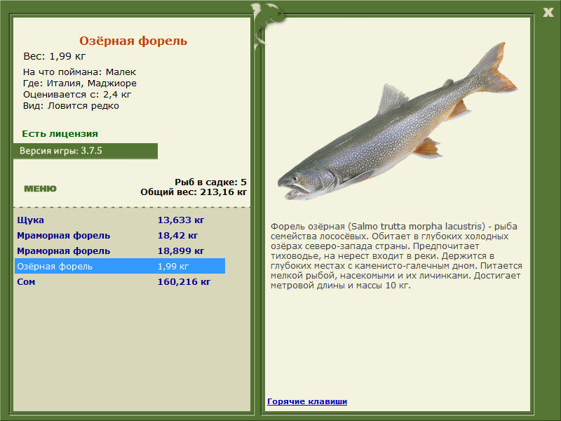 Маджиоре 