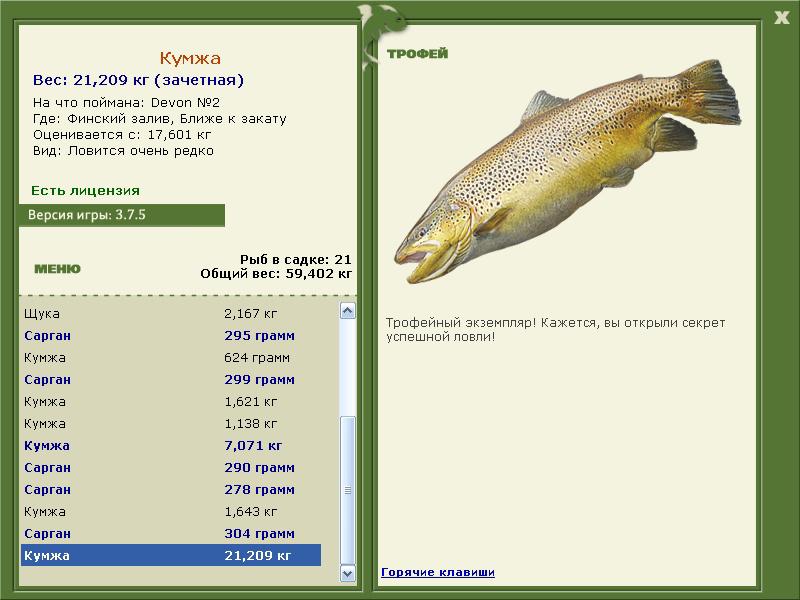 Кумжа 