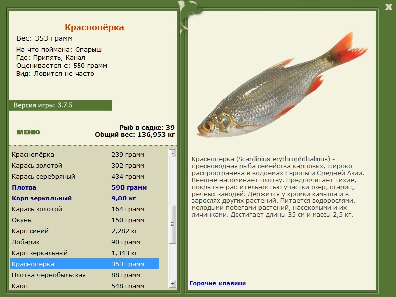 турниры • РУССКАЯ РЫБАЛКА