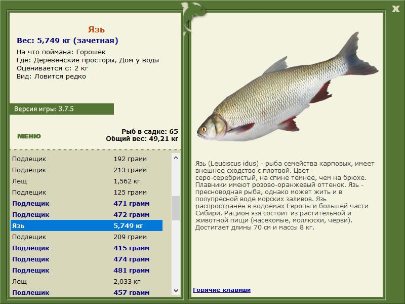 РУССКАЯ РЫБАЛКА Installsoft Edition 
