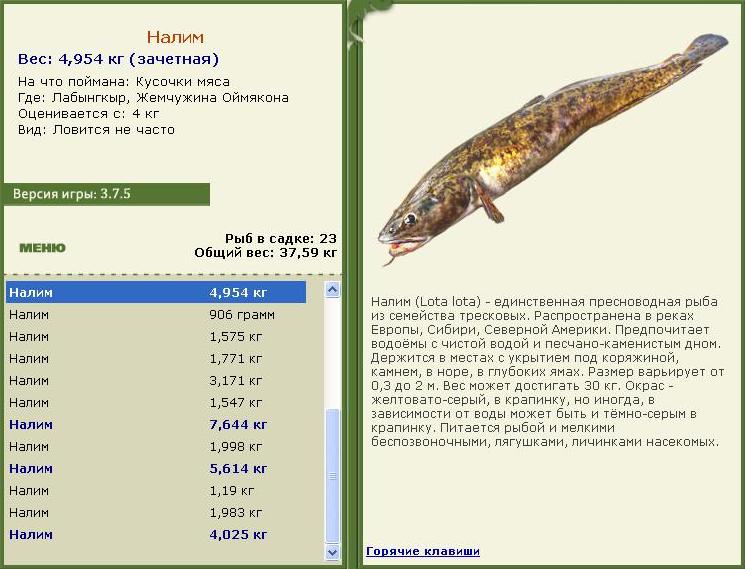 турниры • РУССКАЯ РЫБАЛКА