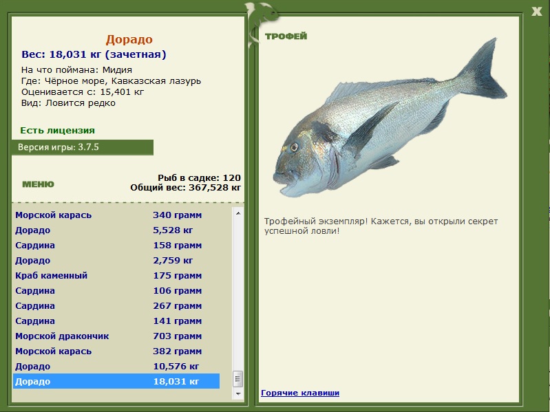 Кавказская лазурь 