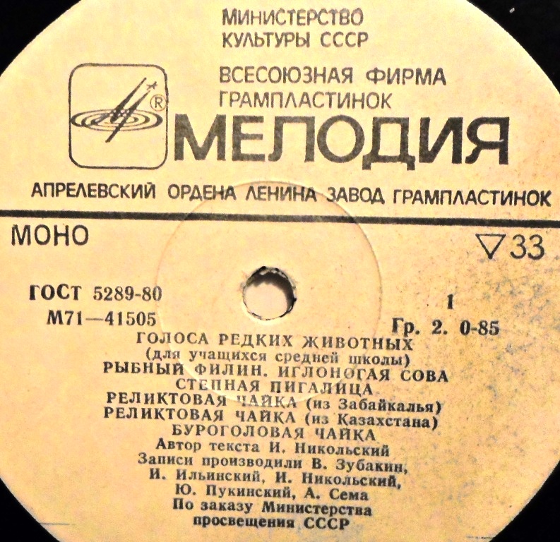  Винил, миньоны.