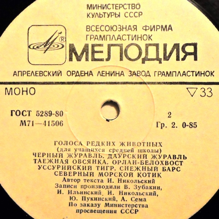  Винил, миньоны.