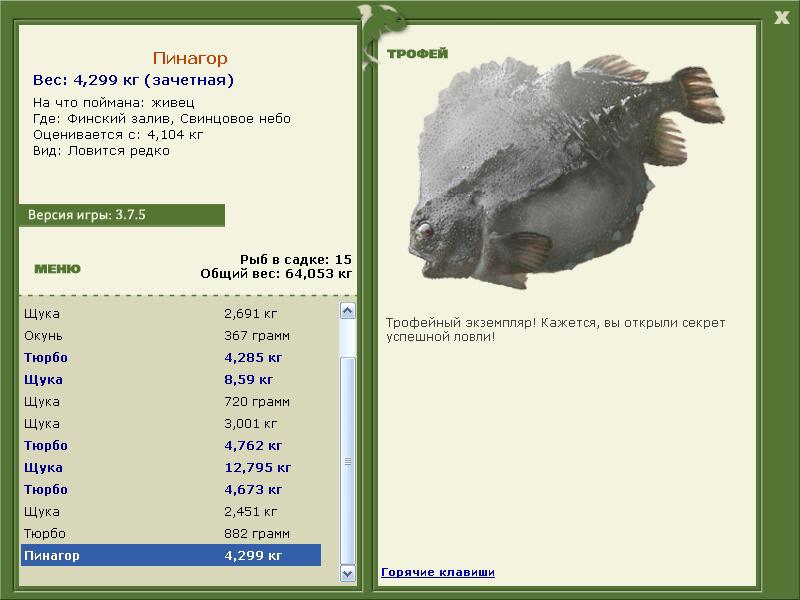 Пинагор 