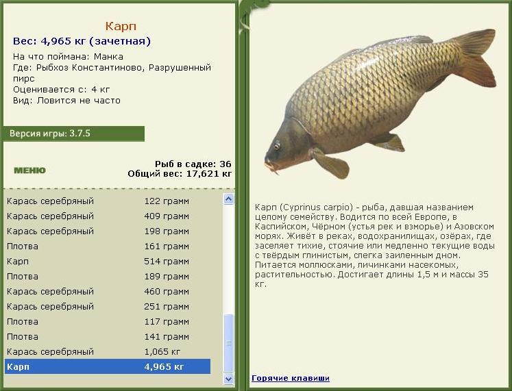 турниры • РУССКАЯ РЫБАЛКА