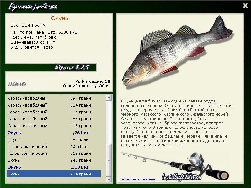 Изгиб реки 
