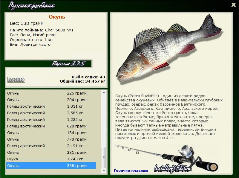 Изгиб реки 