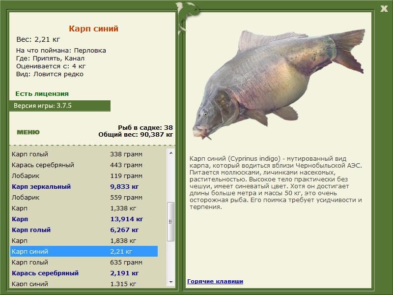 РУССКАЯ РЫБАЛКА Installsoft Edition 