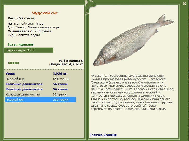 РУССКАЯ РЫБАЛКА Installsoft Edition 