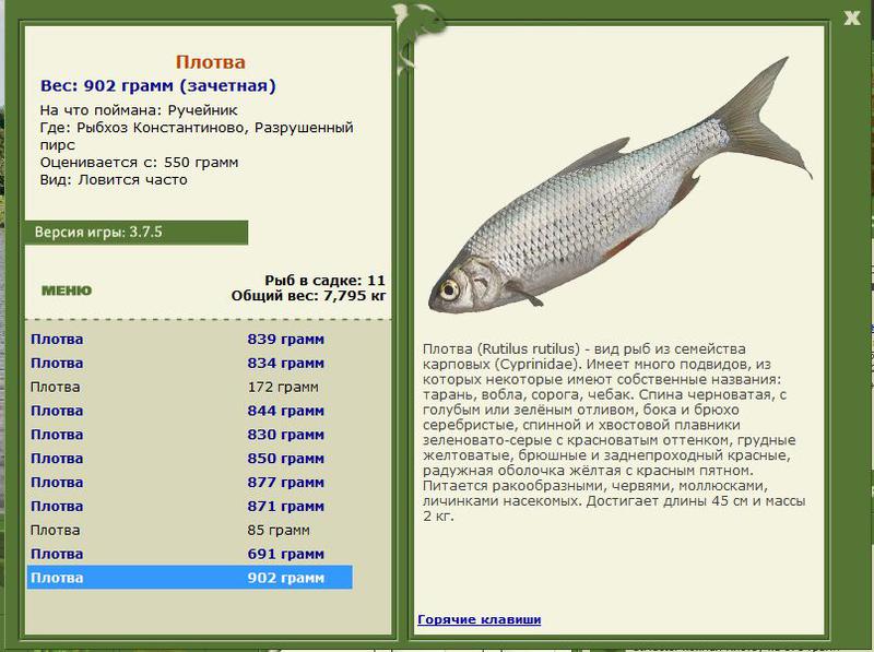 РУССКАЯ РЫБАЛКА Installsoft Edition 